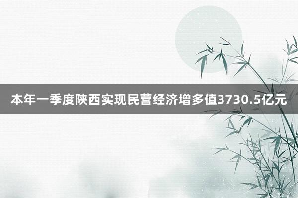 本年一季度陕西实现民营经济增多值3730.5亿元