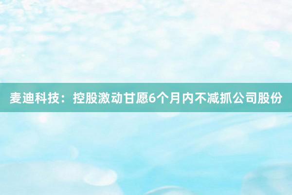 麦迪科技：控股激动甘愿6个月内不减抓公司股份