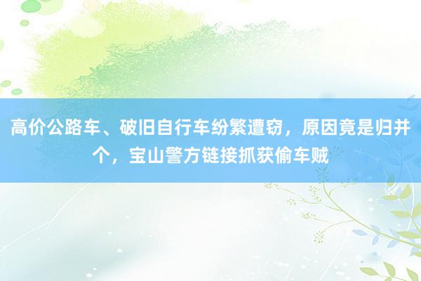 高价公路车、破旧自行车纷繁遭窃，原因竟是归并个，宝山警方链接抓获偷车贼