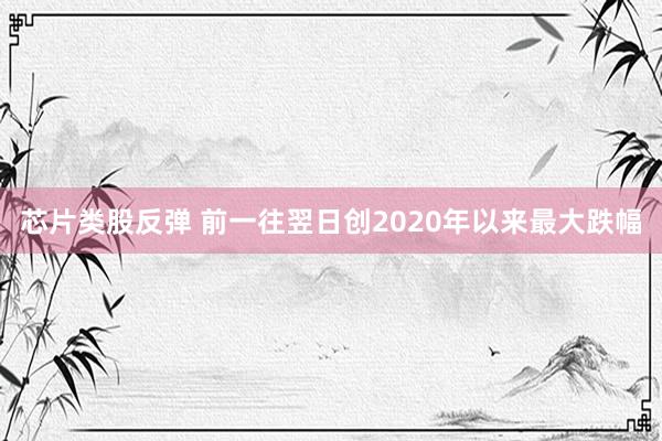 芯片类股反弹 前一往翌日创2020年以来最大跌幅