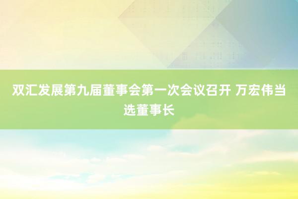 双汇发展第九届董事会第一次会议召开 万宏伟当选董事长