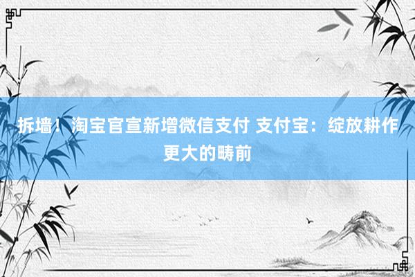 拆墙！淘宝官宣新增微信支付 支付宝：绽放耕作更大的畴前