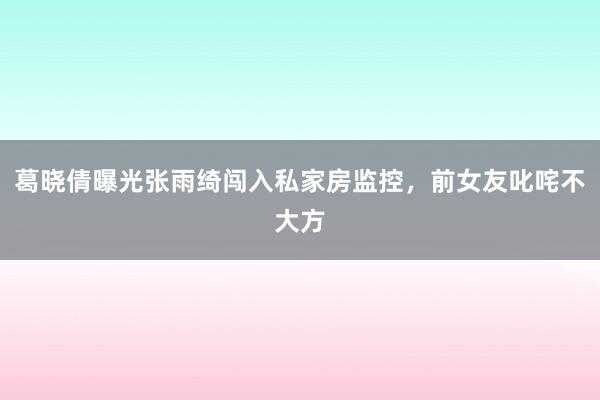 葛晓倩曝光张雨绮闯入私家房监控，前女友叱咤不大方