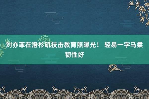 刘亦菲在洛杉矶技击教育照曝光！ 轻易一字马柔韧性好