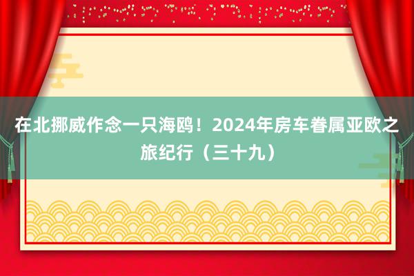 在北挪威作念一只海鸥！2024年房车眷属亚欧之旅纪行（三十九）