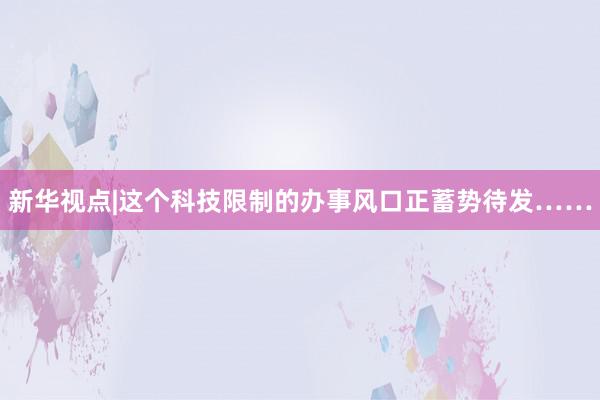 新华视点|这个科技限制的办事风口正蓄势待发……