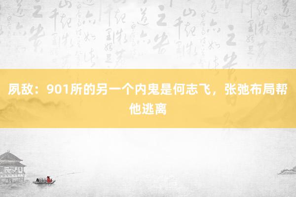 夙敌：901所的另一个内鬼是何志飞，张弛布局帮他逃离